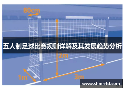 五人制足球比赛规则详解及其发展趋势分析